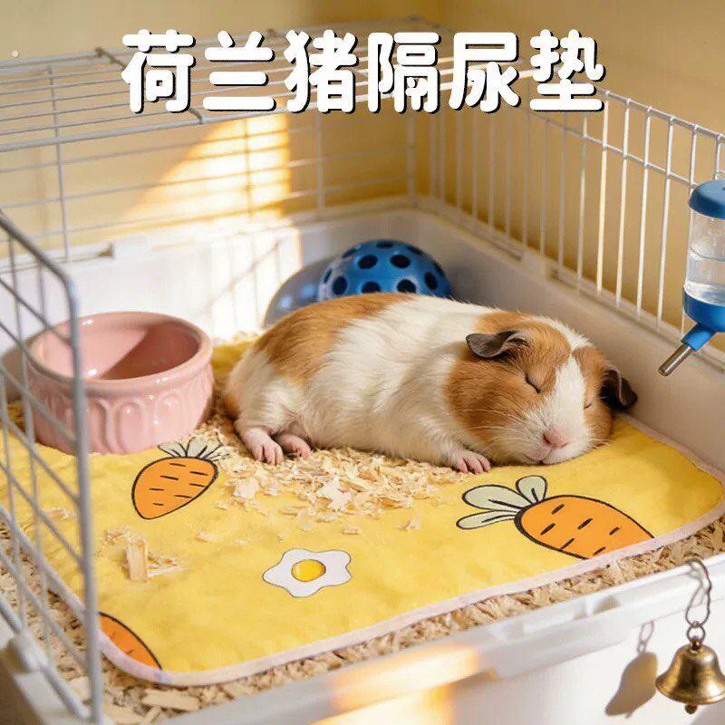 荷兰猪隔尿垫小宠豚鼠睡窝专用除臭防水便捷天竺鼠宠物用品大全
