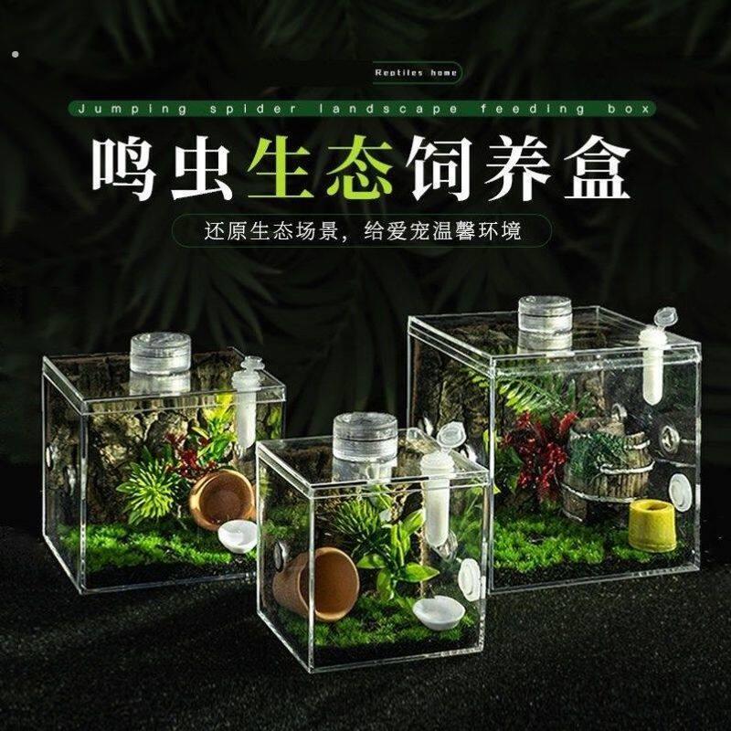鸣虫生态盒蝈蝈油葫芦蛐蛐扎嘴跳蛛竹蛉螳螂昆虫盒角蛙树蛙盒