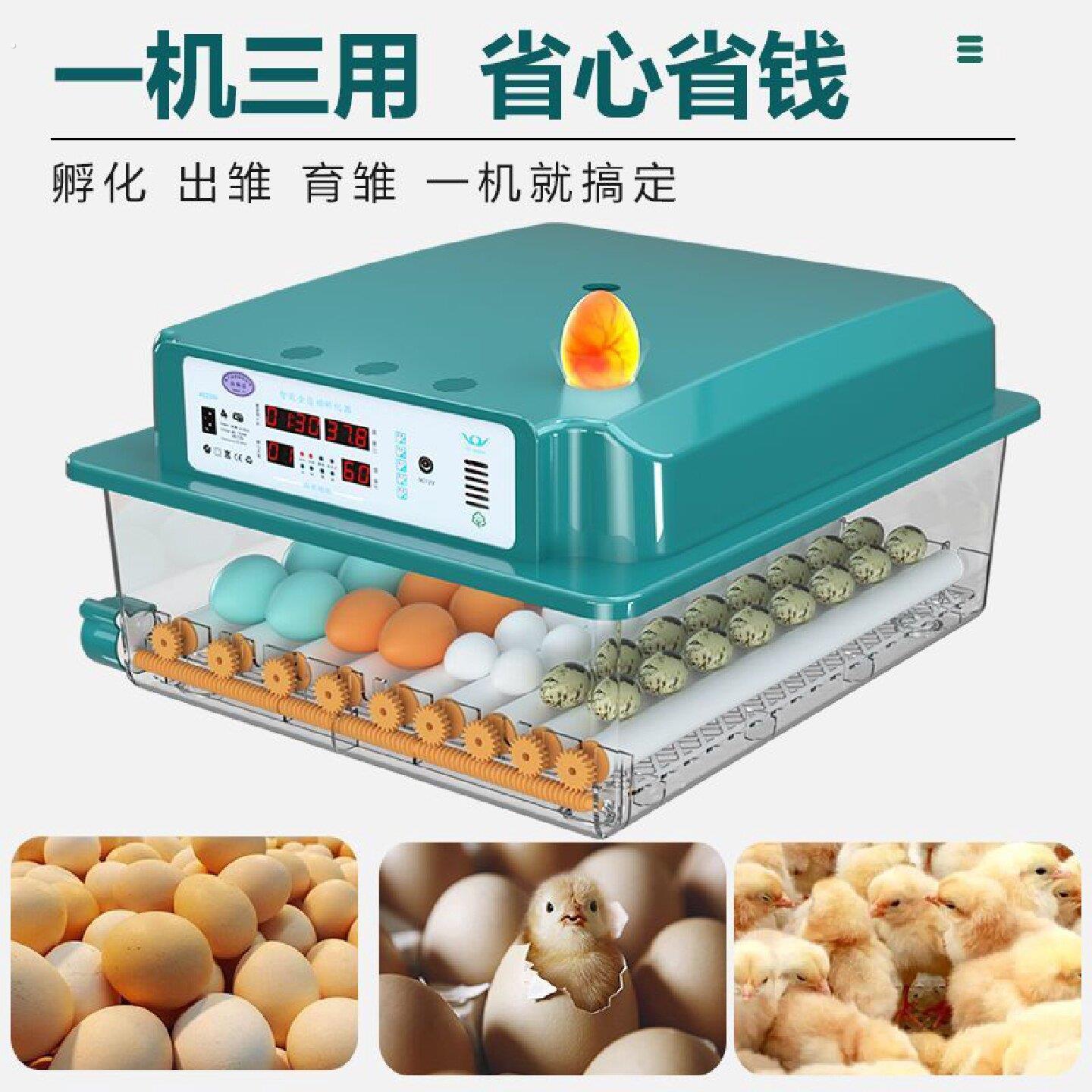 全自动智能孵化机家用孵化器孵鹅鸭鸽子鹌鹑芦丁孵小鸡山鸡的机器