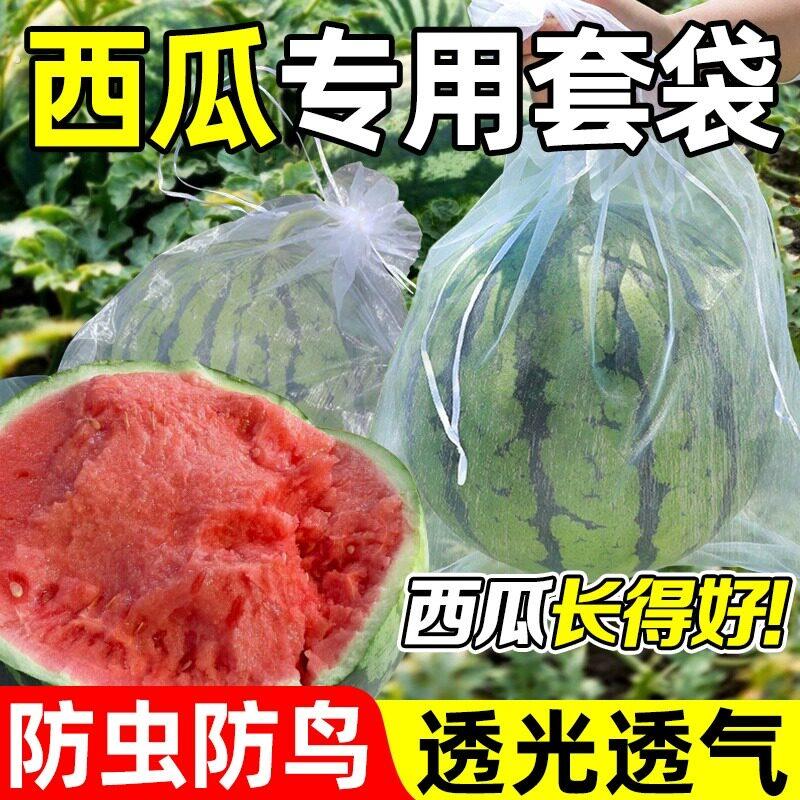 西瓜套袋专用防虫防鸟加密果袋不积水透气透光瓜果蔬菜防果蝇通用