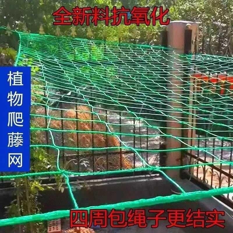 爬藤网种植网家用户外庭院丝瓜百香果植物攀爬架园艺网爬藤网绳子