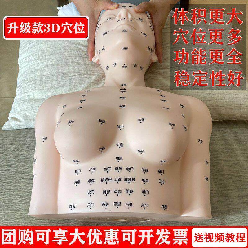 美容院按摩练手法头模特脸部穴位学习皮肤管理带肩膀假人光头模型