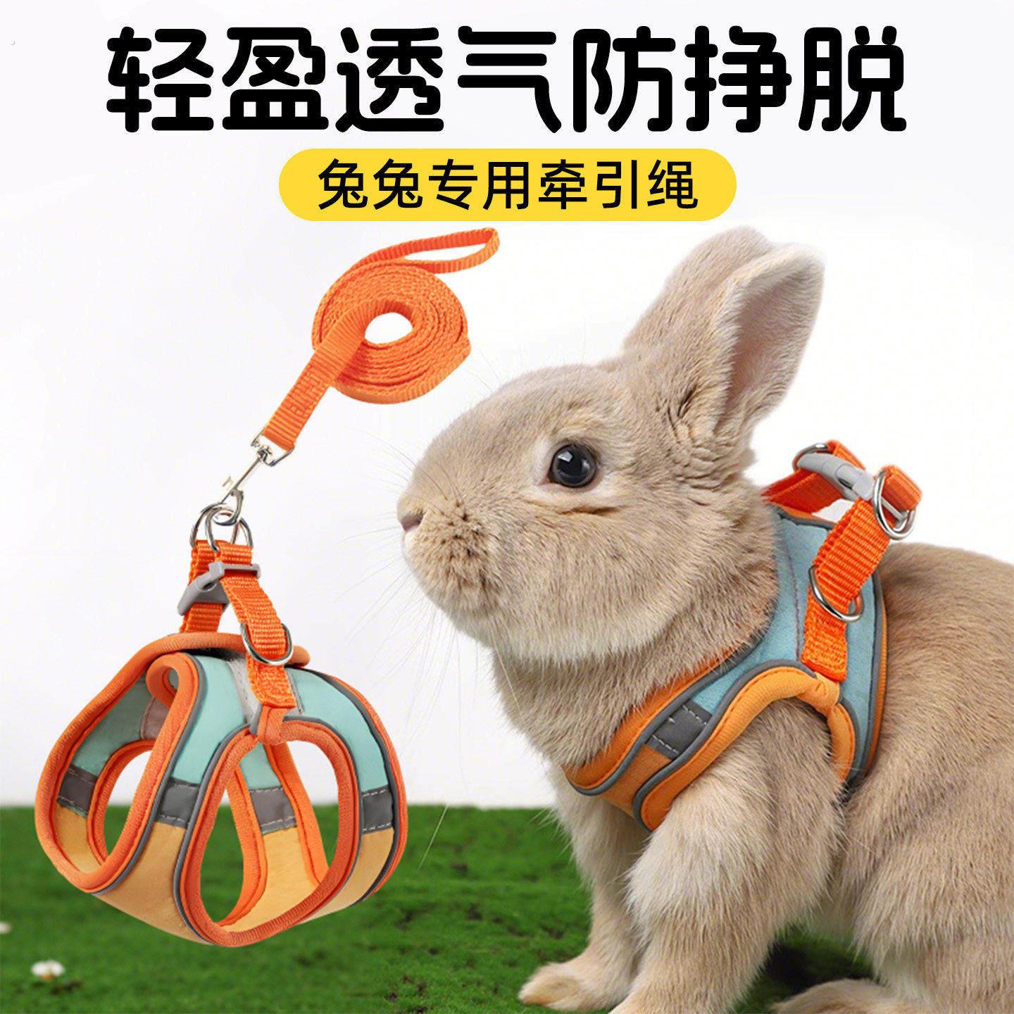 遛兔子专用牵引绳侏儒兔荷兰猪防挣脱小兔兔宠物的绳子项圈可调节