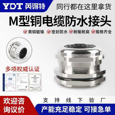 (哇噢)金属电缆防水接头M20黄铜镀镍线缆锁头电缆固定头连接器填