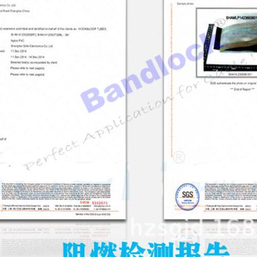 甄选PVC扣式结束带 钮扣电线捆绑带 塑料卷式束线带PC WB 整卷75