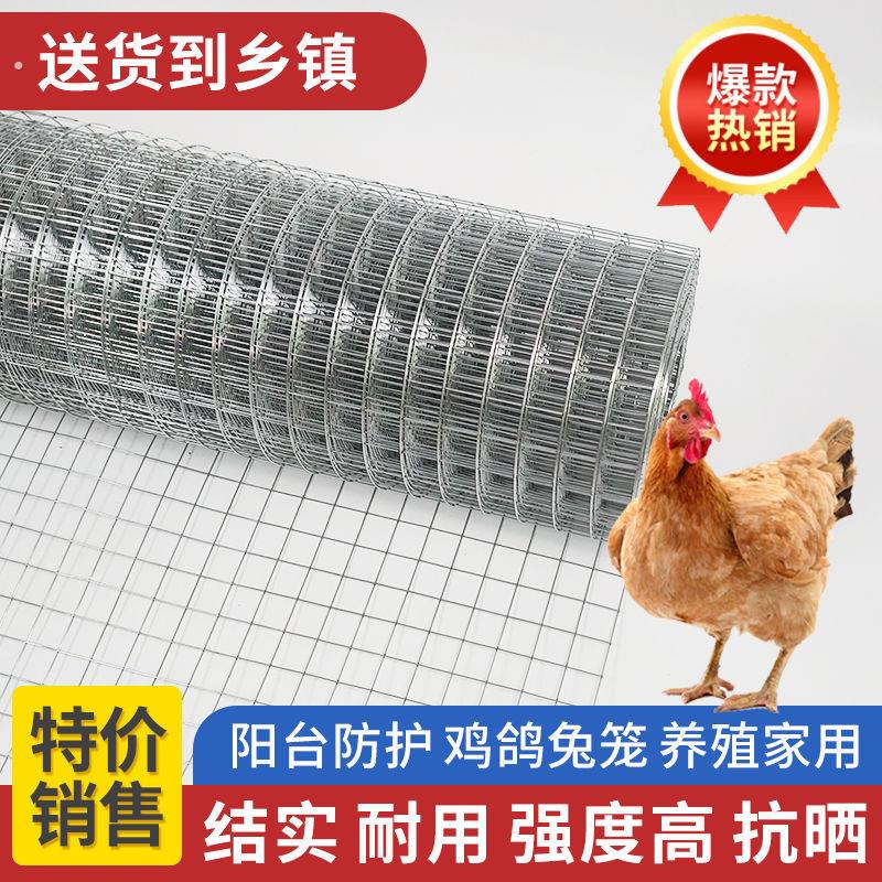 镀锌网片铁丝围栏建筑冷镀加粗钢丝网格防护狗笼养殖鸽笼专用地网