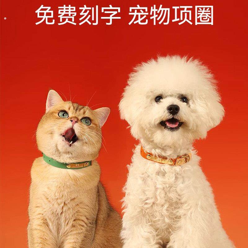 狗狗项圈猫牌狗牌刻字猫咪项链猫猫小狗小型犬宠物脖圈定制防丢失