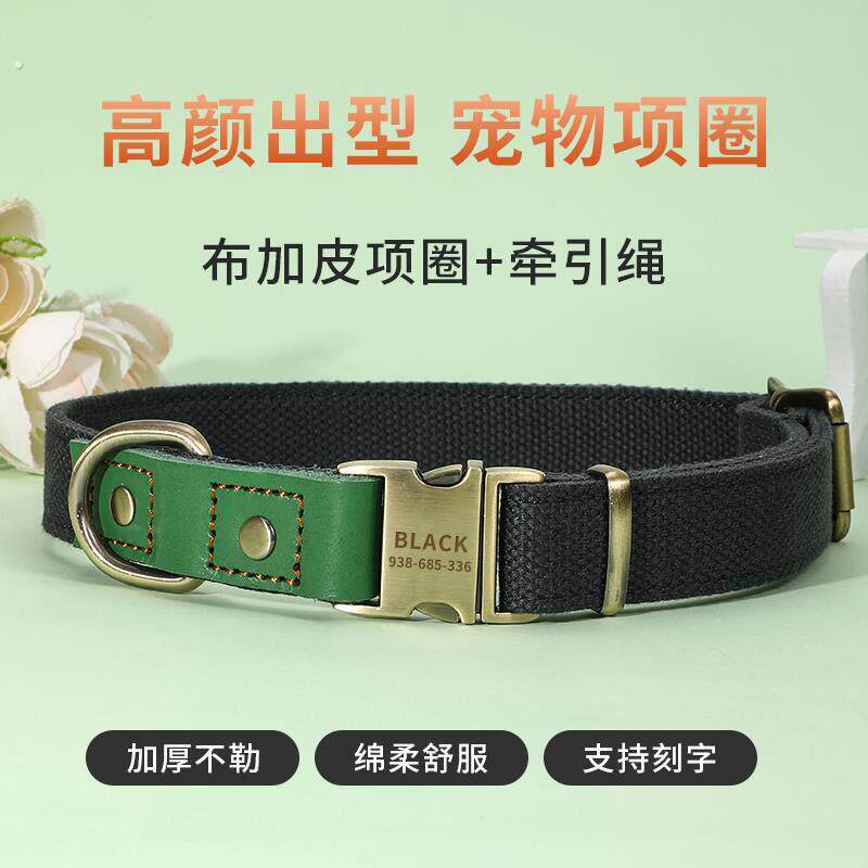 狗狗项圈脖圈结实小狗中大型犬颈圈脖套牵引刻字狗牌定制防丢泰迪