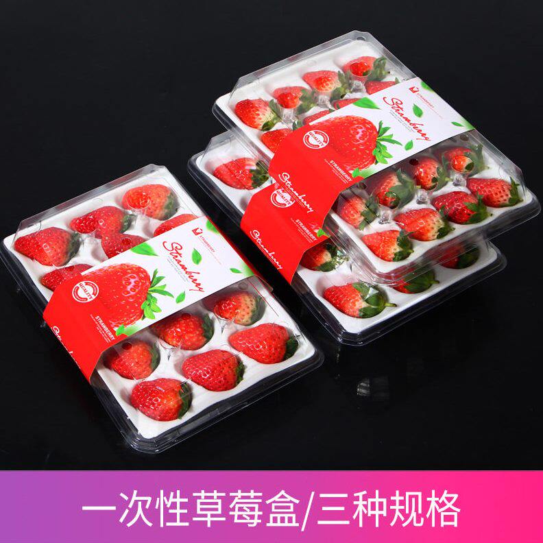 甄选一次性草莓盒打包盒塑料透明带腰封内托防震档网红草莓包装盒