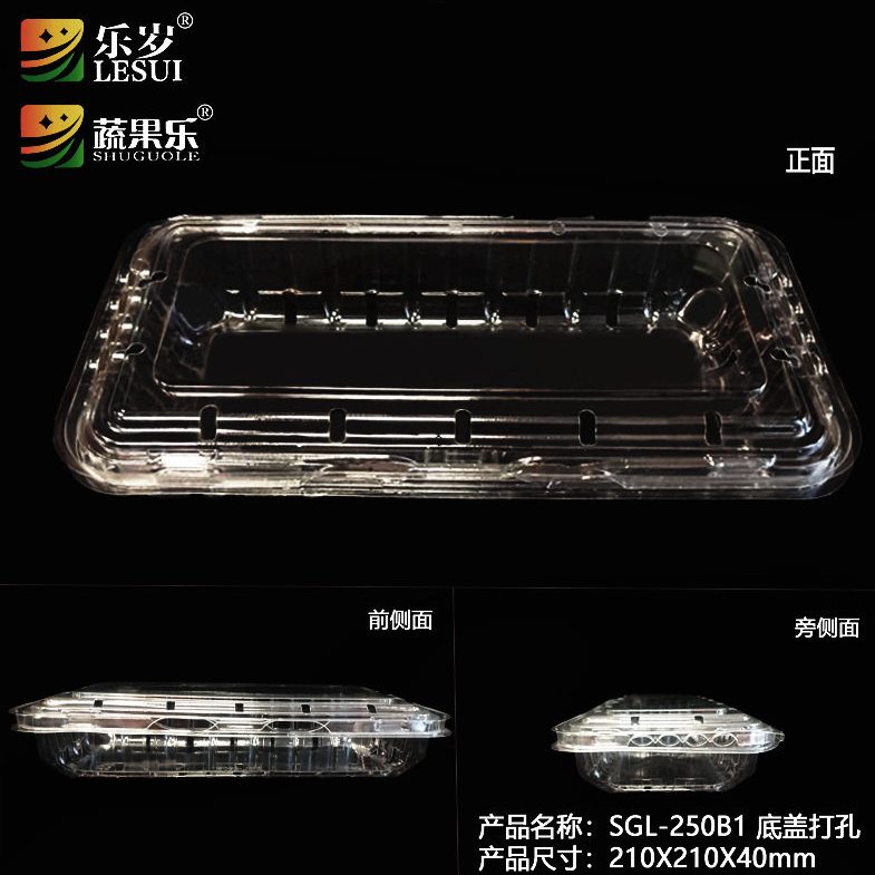 甄选蔬果乐一次性透明蓝莓树莓塑料小包装盒加厚透125g装厂家打包