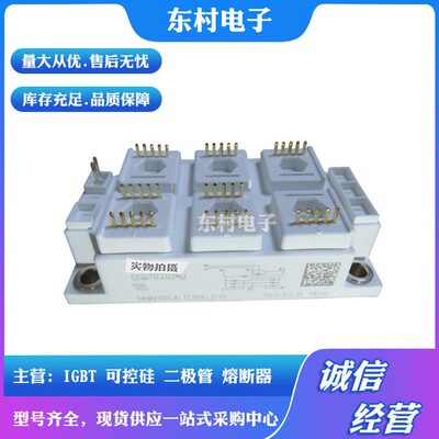 甄选SKM200GAL123DKLD110 SKM200GAL126DKLD110全新整流器 模块现