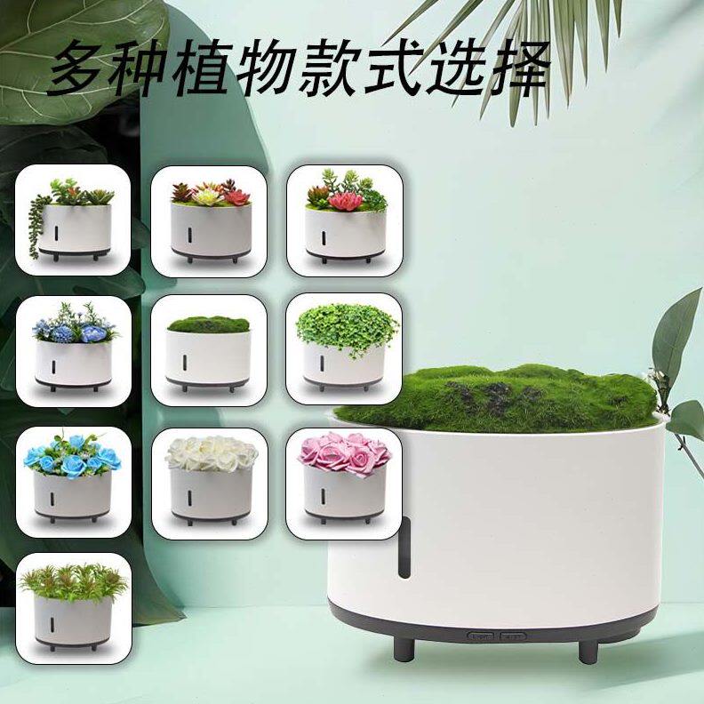 甄选仿真植物加湿器 蓝牙音乐家用卧室孕妇婴儿 大雾量香薰香氛加