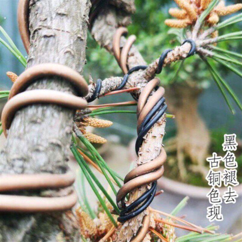 盆景用铝丝盆景铝线铝丝 黑色盆景造型专用铝丝500克 定型专