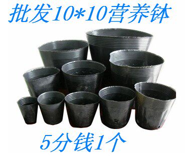 10*10营养钵育苗杯塑料花盆西瓜育苗盆