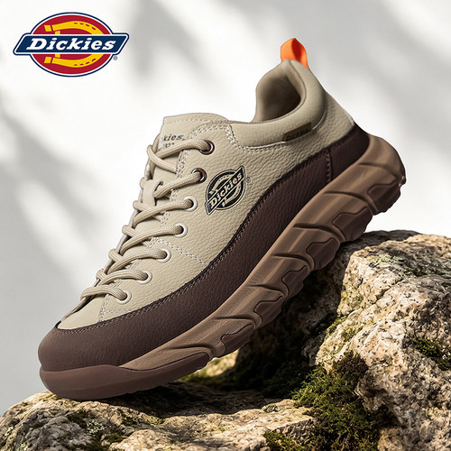 Dickies官方旗舰店男鞋2026新款