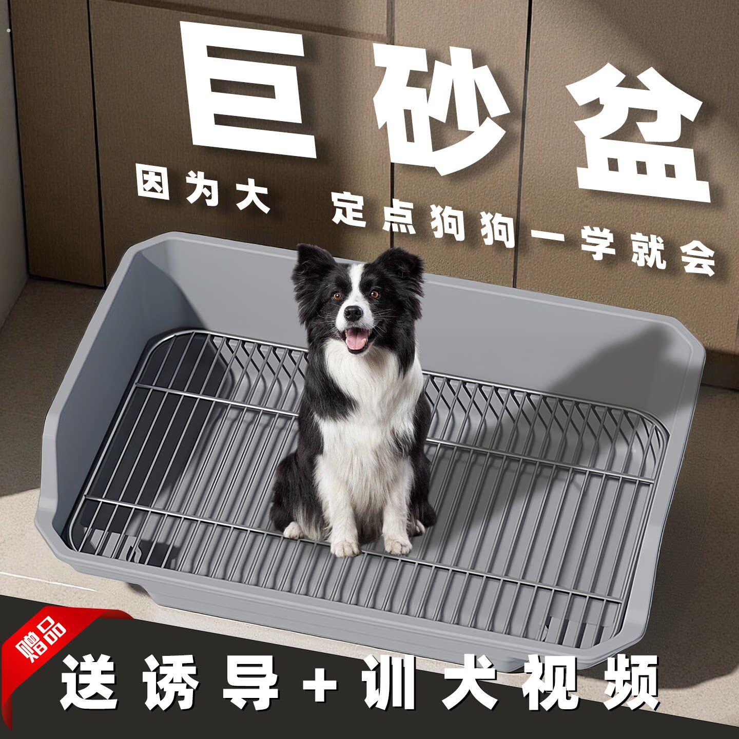 狗厕所超大号宠物不绣镀钢狗砂盆防踩屎中大型犬专用定点排便屎盆