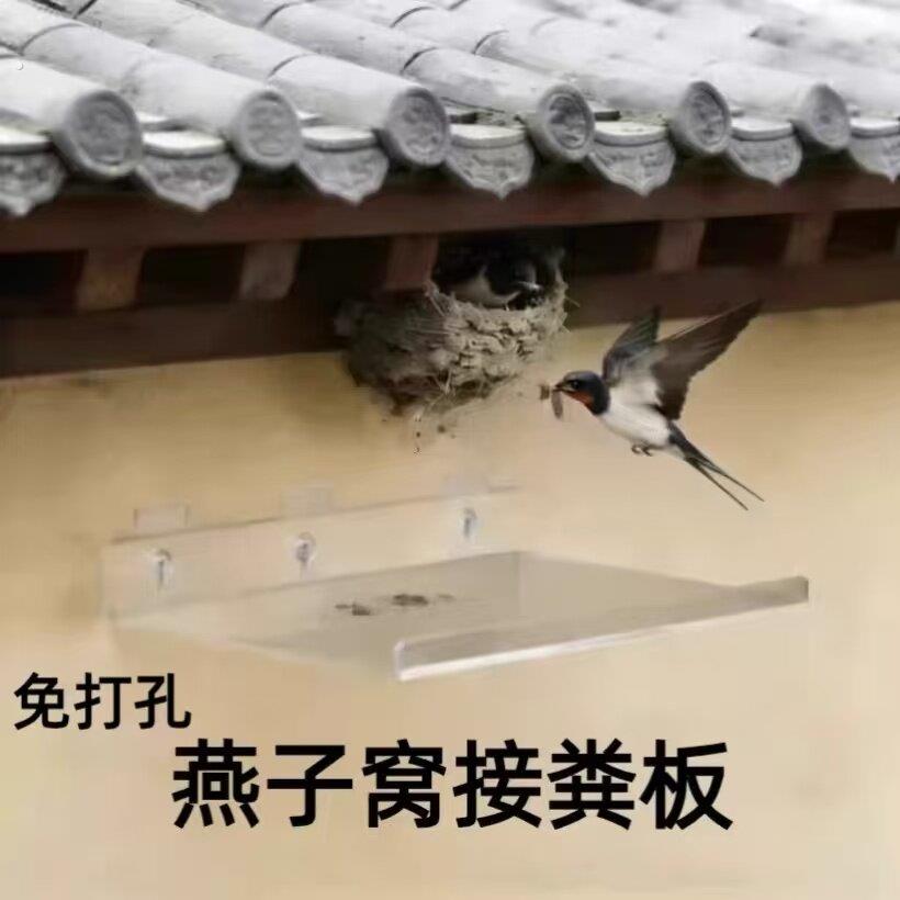 燕子窝接粪神器板盘悬挂免打孔农村支架挂式屋檐墙上亚克力搭鸟巢图片