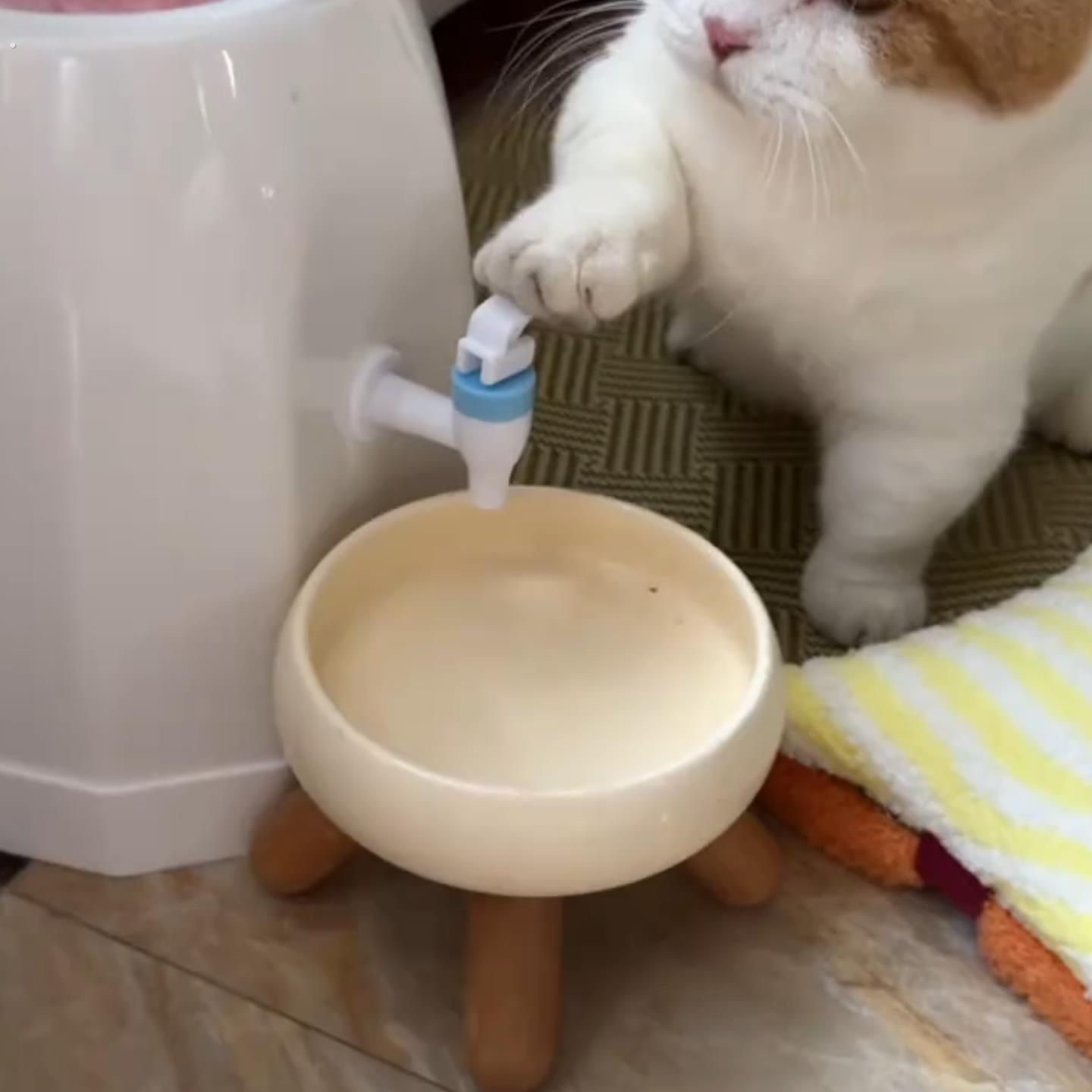 宠物粮碗水碗猫碗猫咪罐头餐盘大口径增高架护颈狗狗饭碗防打翻