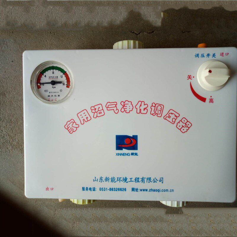 德国日本进口技术家用沼气净化器调控脱硫器沼气发电机专用压力表