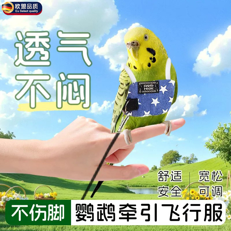 英国鹦鹉衣服鹦鹉鸟放飞背带背心