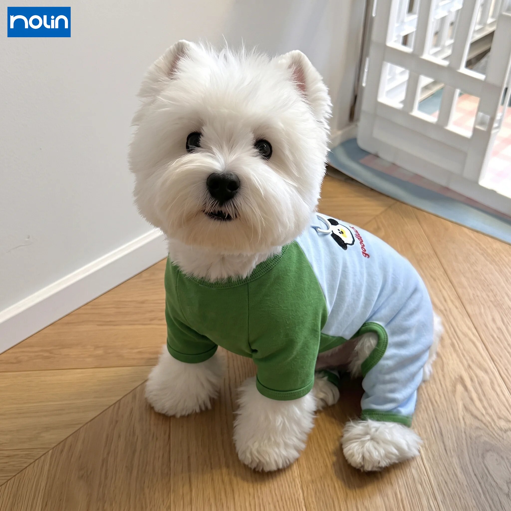 英国狗狗衣服冬装小型犬棉质西高地雪纳瑞宠物四脚睡衣猫咪家居服