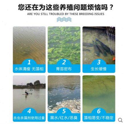 甄选金恩洋酵母粉低温阴雨天水培藻培虫补充碳源虾蟹贝海参水产养