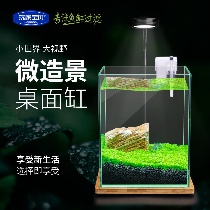 桌面水景缸水族箱小型水族箱造景 小型水草缸全套 DIY小水草鱼缸