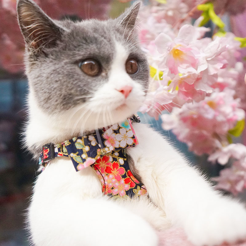日式猫咪牵引绳防挣脱猫绳子遛猫绳猫专用猫牵引猫外出皮质猫链子