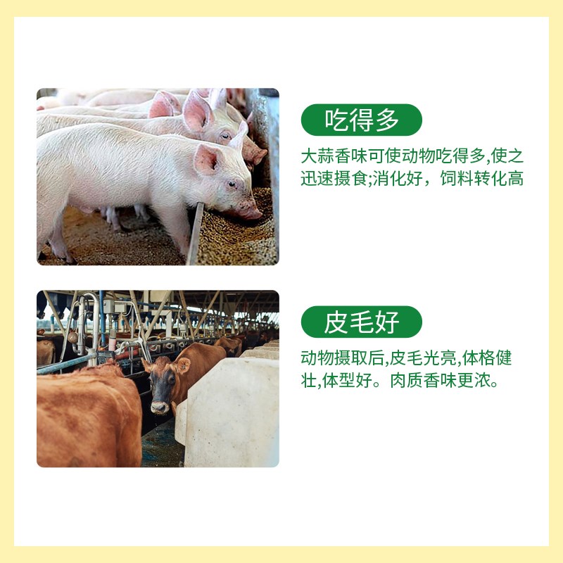 兽用大蒜素养殖水产大蒜粉牛羊猪用浓缩料添加剂鸡鸭鹅预混料