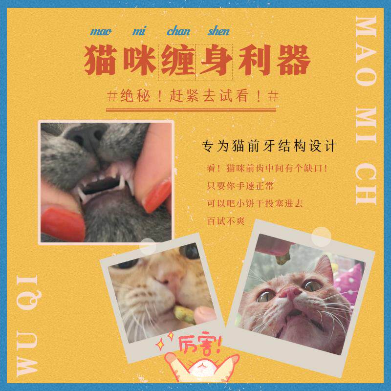 林小喵猫咪猫饼干*10盒装 金枪鱼混合鲜虾薄荷零食磨牙发腮增胖