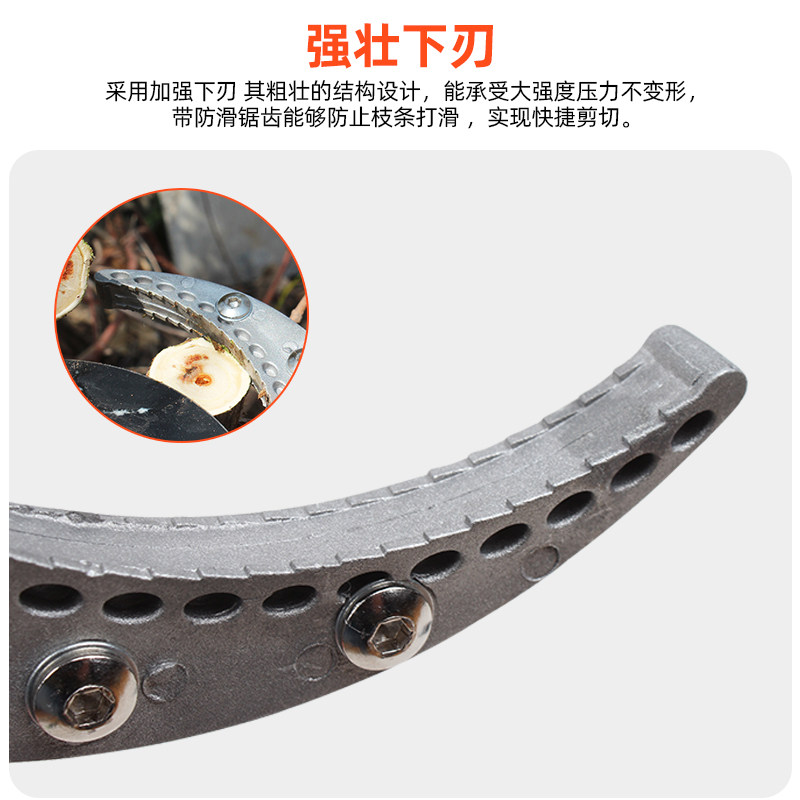 园林剪刀大力粗枝剪果树园艺工具大号强力剪花剪省力修枝剪刀神器