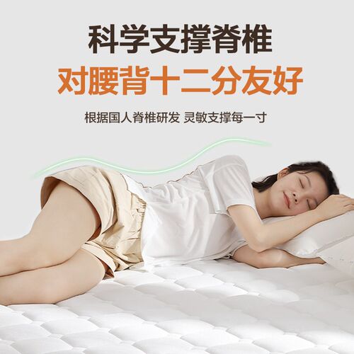 床垫家用卧室偏硬天然3e环保椰棕软乳胶老人护腰脊双人粽垫可定制