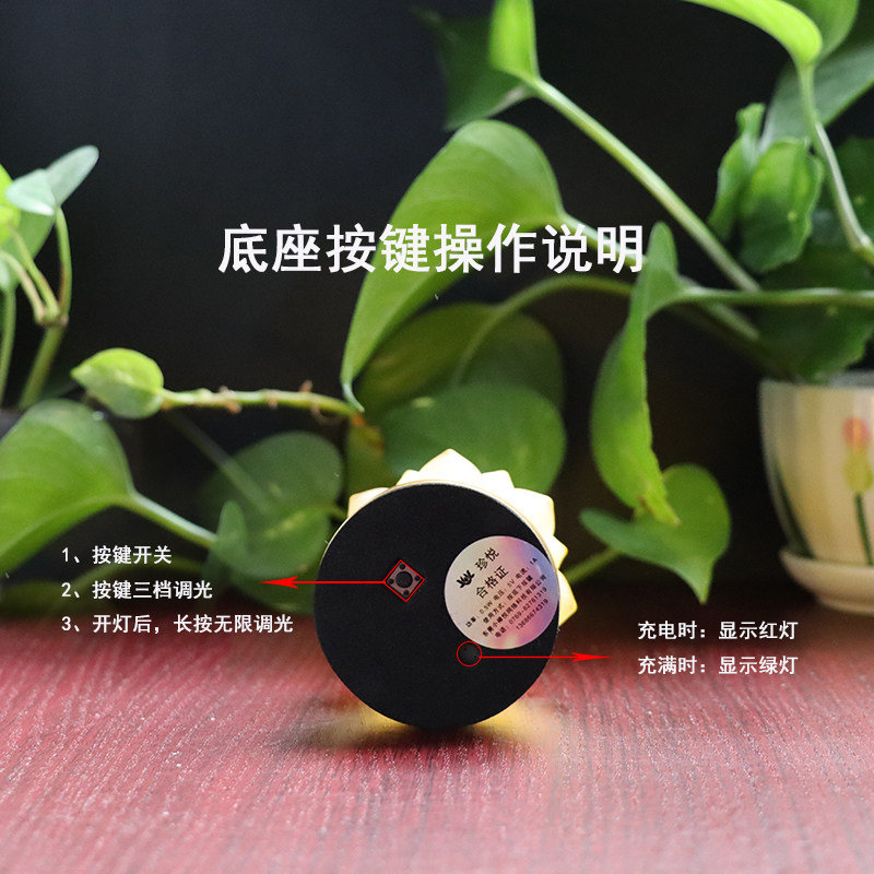 充电水晶灯插电佛供灯家用佛前灯充电供灯长明灯水晶球莲花灯包邮
