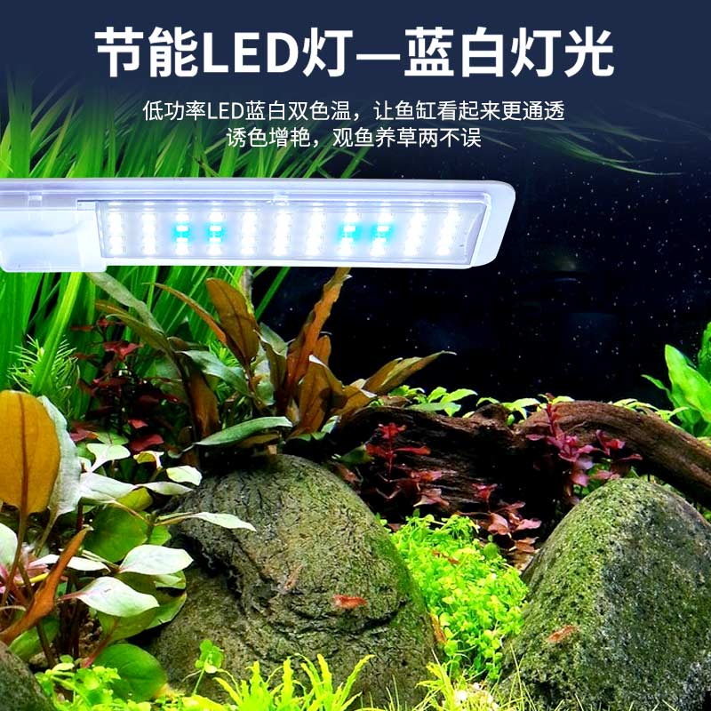 鱼缸草缸造景套餐客厅小型背滤免换水桌面自循环生态金鱼缸水族箱