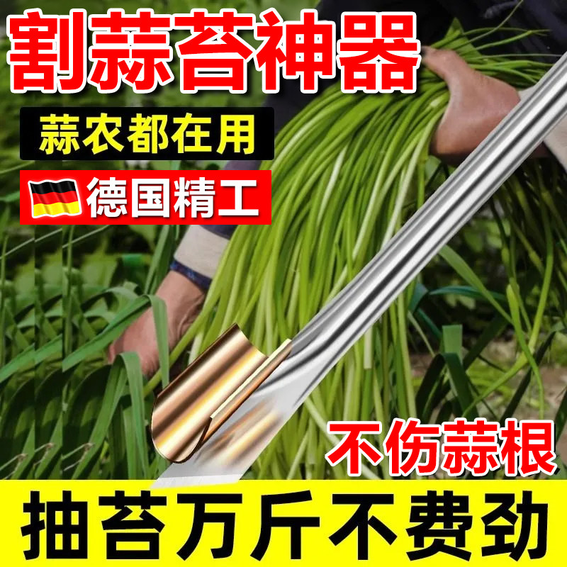 割蒜苔神器家用打蒜苔抽蒜毫摘提蒜薹拨剥划蒜苗专用的收割刀工具