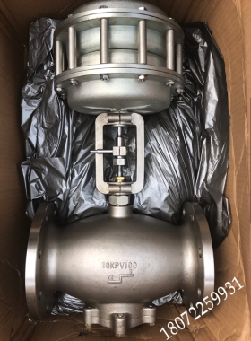 立信EC0-6缸 不锈钢升温阀 (PV80 PN16) BWKU80806