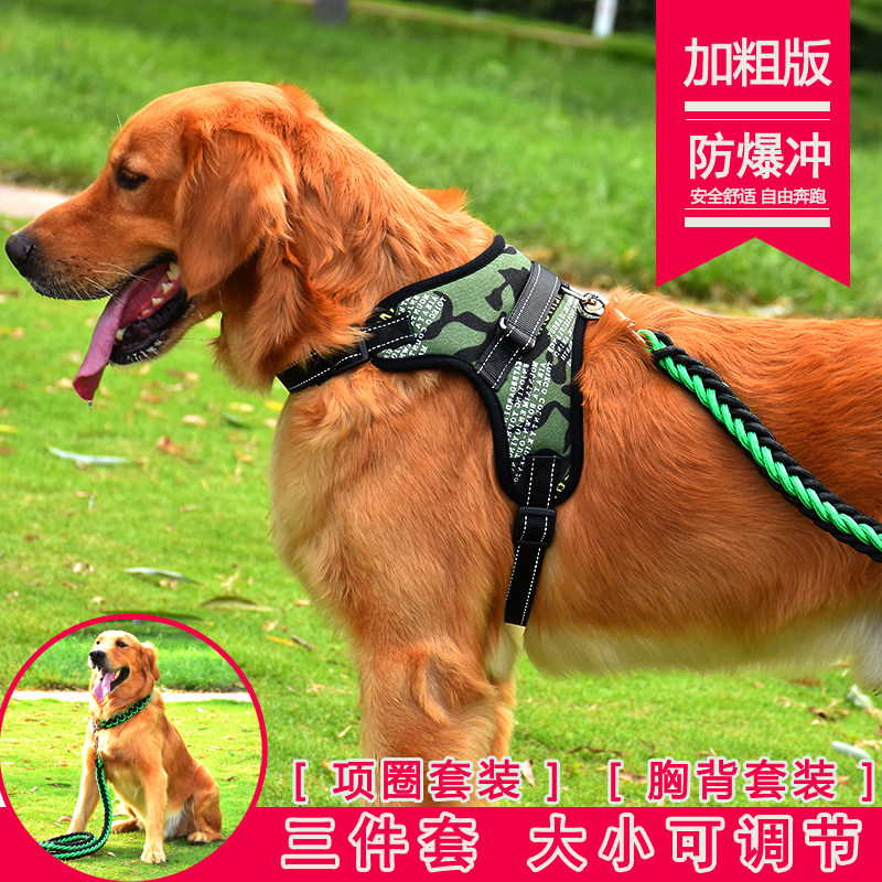 宠物狗狗尼龙牵引绳金毛狗大型犬德牧绳子大狗遛狗简单的牵应绳