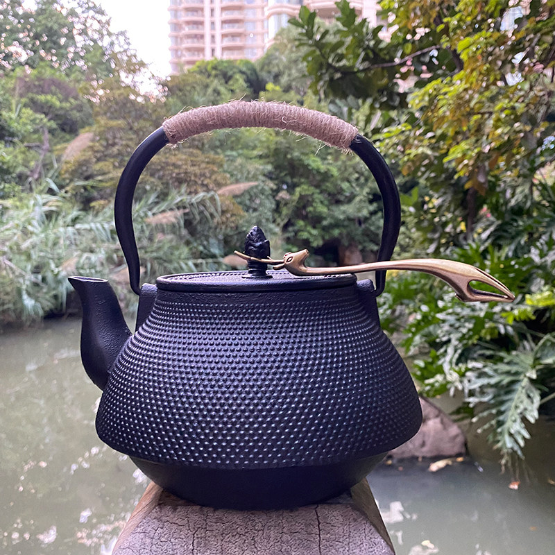 大容量铁壶 日式铸铁壶生铁壶烧水泡茶壶复古功夫茶壶 2.5L大茶壶