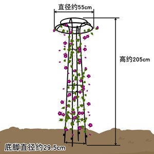 伞形花架家庭园艺铁艺铁架户外爬藤架室外花园花架铁线莲花支架子