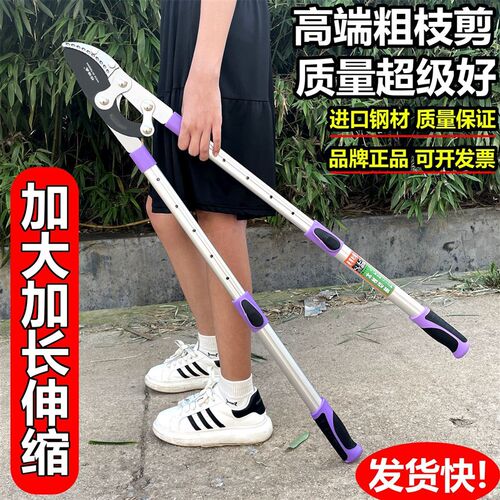 剪树枝专用大号剪子修树枝剪刀粗枝果树修枝剪园林伸缩杆省力