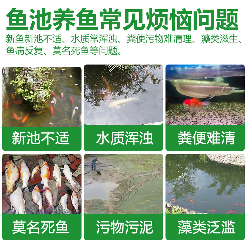 鱼缸硝化细菌锦鲤专用水族活菌净水剂养鱼用品鱼药水鱼池消化细菌