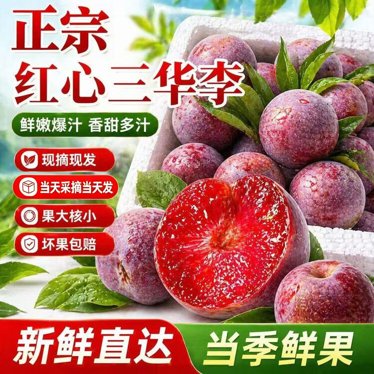 福建漳州三华李新鲜水果脆爽多汁李子5斤装现摘现发农家自种脆嫩