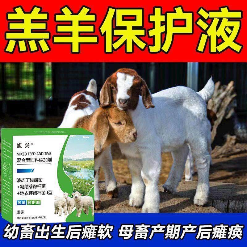 羔羊保护液正品保护羔羊犊牛胃肠道原羔羊犊牛救命液升级产品