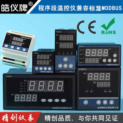 窑炉分段b程序段温控表可编程温控仪智能多段温度控制器RS485通信