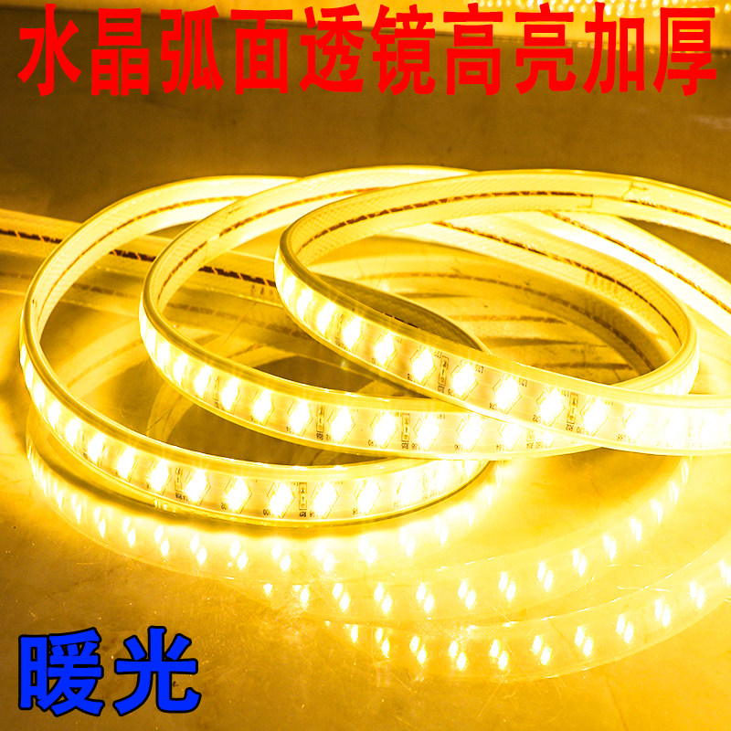 灯带led工程亮化照明工地养殖园林装饰100米一卷220v白光暖光灯条