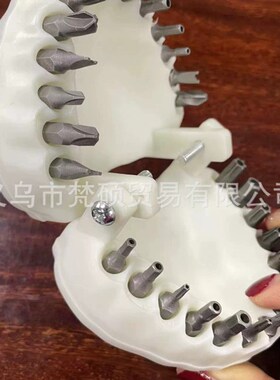 多功能便捷式口腔造型义齿钻头支架摆件收藏礼物工具盒子