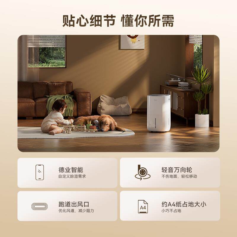 德业DY-620S家用除湿机 抽湿器/除湿器