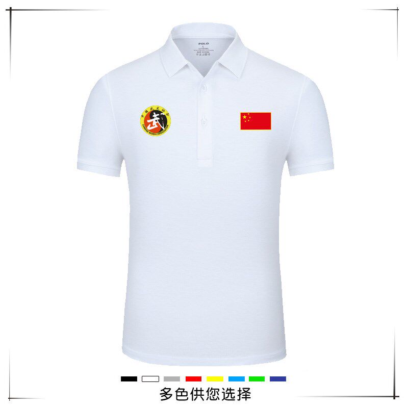 定做跆拳道散打太极拳击教练中国武术协会服polo衫翻领上衣
