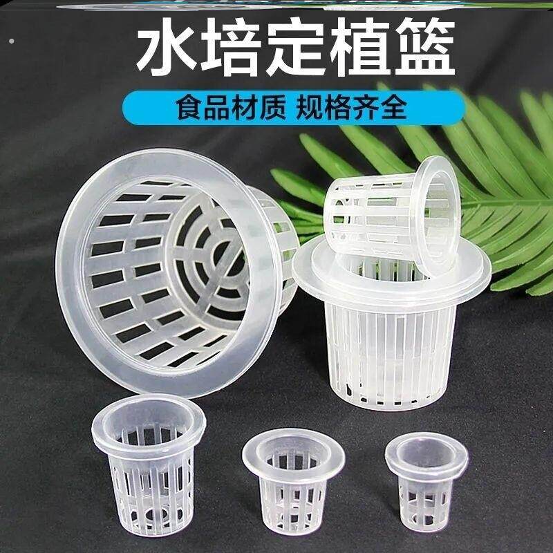 水培蔬菜定植篮无土栽培设备塑料加深种植蓝水耕植物定植杯固根器