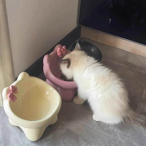 可爱猫碗陶瓷猫食盆喝水猫粮罐头保护颈椎不易打翻防黑下巴宠物碗